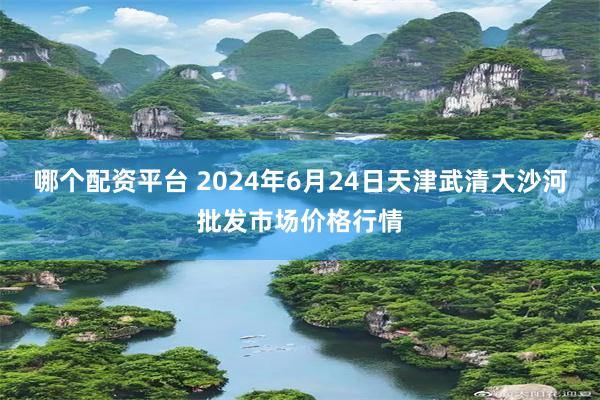 哪个配资平台 2024年6月24日天津武清大沙河批发市场价格行情