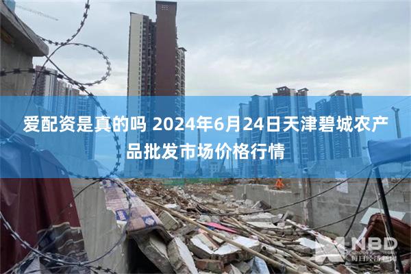 爱配资是真的吗 2024年6月24日天津碧城农产品批发市场价格行情