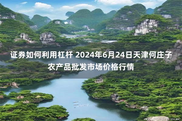 证券如何利用杠杆 2024年6月24日天津何庄子农产品批发市场价格行情