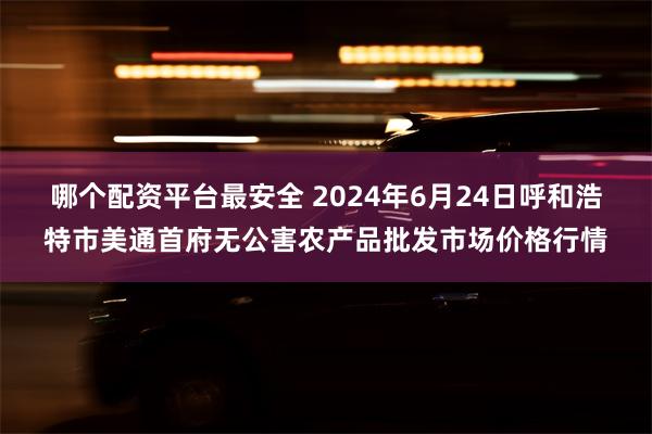 哪个配资平台最安全 2024年6月24日呼和浩特市美通首府无公害农产品批发市场价格行情