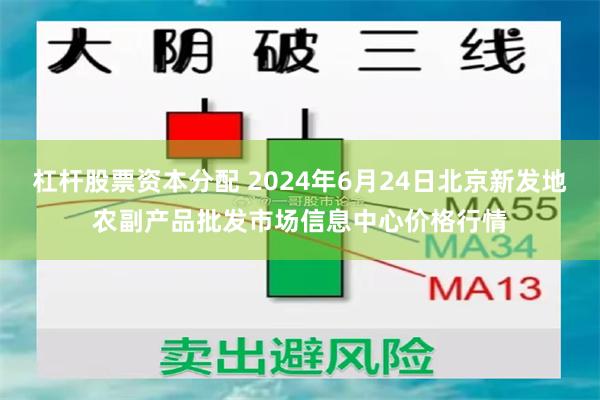 杠杆股票资本分配 2024年6月24日北京新发地农副产品批发市场信息中心价格行情