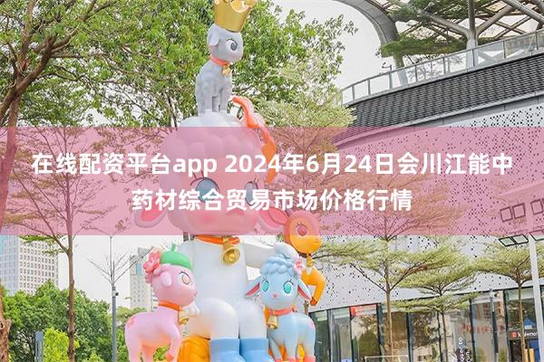 在线配资平台app 2024年6月24日会川江能中药材综合贸易市场价格行情