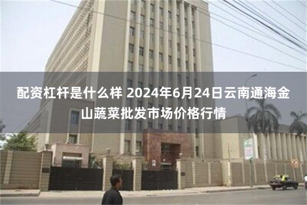 配资杠杆是什么样 2024年6月24日云南通海金山蔬菜批发市场价格行情