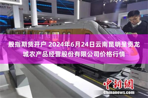 股指期货开户 2024年6月24日云南昆明呈贡龙城农产品经营股份有限公司价格行情