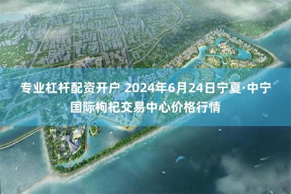 专业杠杆配资开户 2024年6月24日宁夏·中宁国际枸杞交易中心价格行情