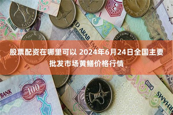 股票配资在哪里可以 2024年6月24日全国主要批发市场黄鳝价格行情