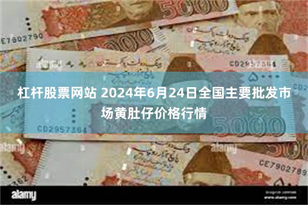 杠杆股票网站 2024年6月24日全国主要批发市场黄肚仔价格行情