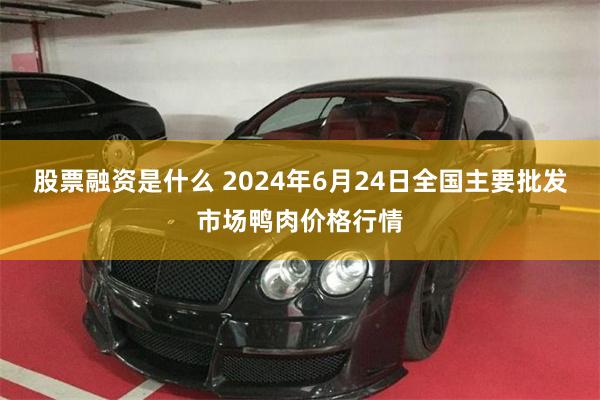 股票融资是什么 2024年6月24日全国主要批发市场鸭肉价格行情