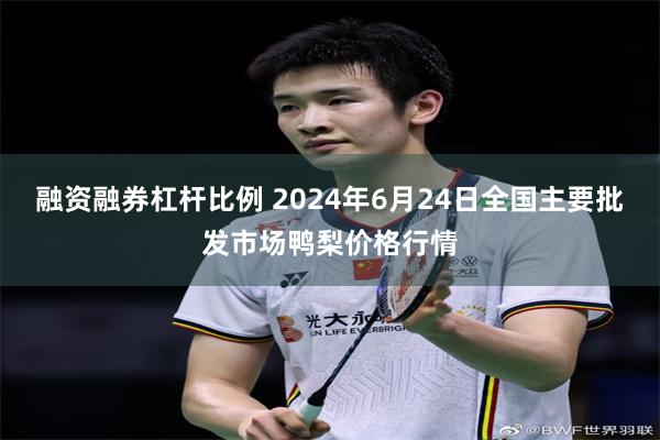 融资融券杠杆比例 2024年6月24日全国主要批发市场鸭梨价格行情