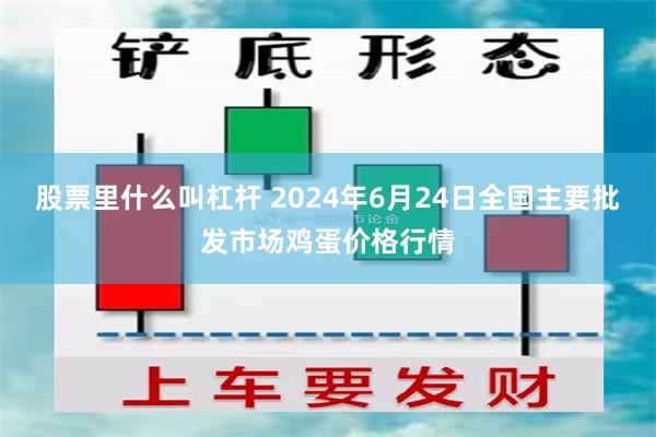 股票里什么叫杠杆 2024年6月24日全国主要批发市场鸡蛋价格行情