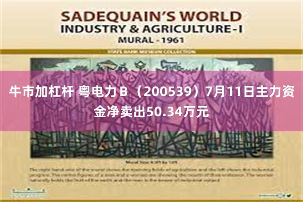 牛市加杠杆 粤电力Ｂ（200539）7月11日主力资金净卖出50.34万元