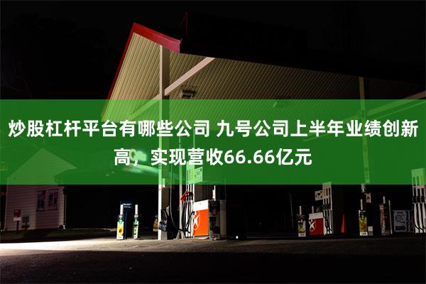 炒股杠杆平台有哪些公司 九号公司上半年业绩创新高，实现营收66.66亿元