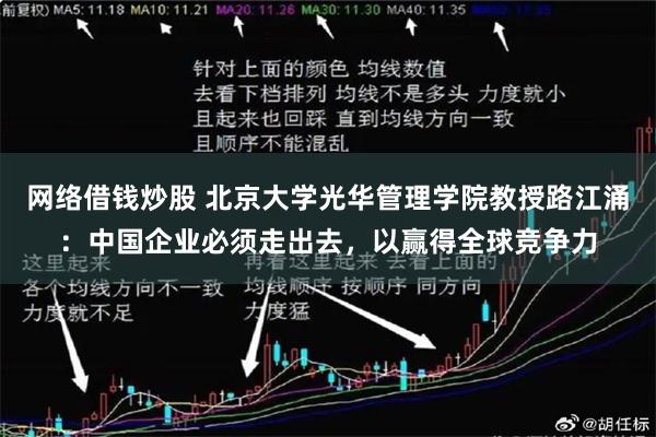 网络借钱炒股 北京大学光华管理学院教授路江涌：中国企业必须走出去，以赢得全球竞争力