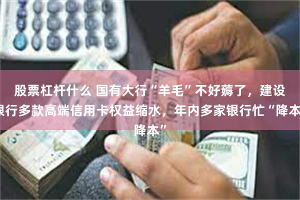 股票杠杆什么 国有大行“羊毛”不好薅了，建设银行多款高端信用卡权益缩水，年内多家银行忙“降本”