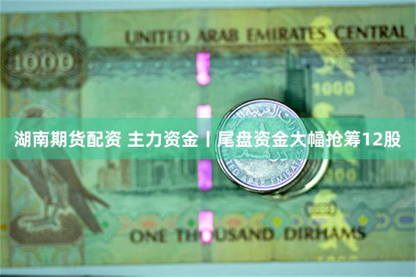 湖南期货配资 主力资金丨尾盘资金大幅抢筹12股