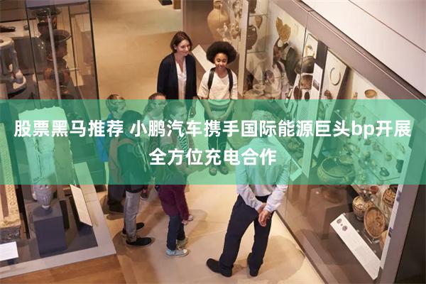 股票黑马推荐 小鹏汽车携手国际能源巨头bp开展全方位充电合作