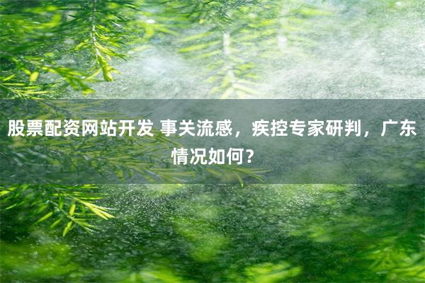 股票配资网站开发 事关流感，疾控专家研判，广东情况如何？