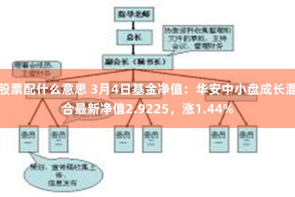 股票配什么意思 3月4日基金净值：华安中小盘成长混合最新净值2.9225，涨1.44%